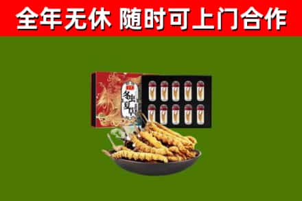 双流回收冬虫夏草价格